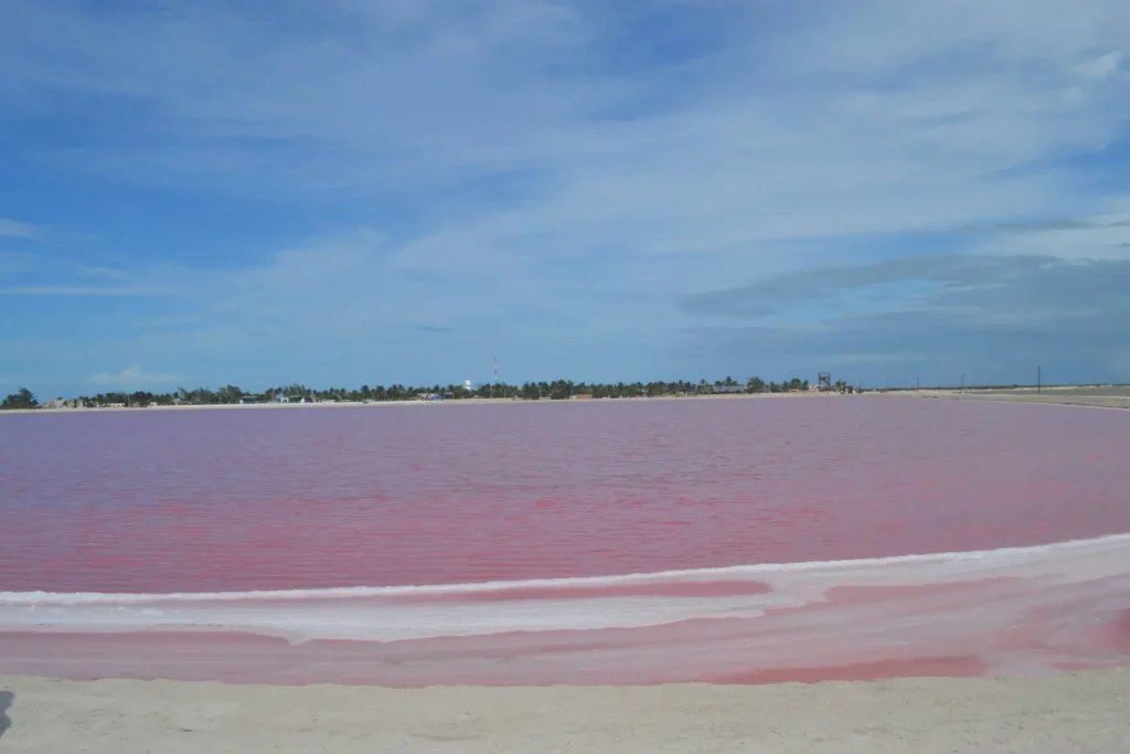 Las Coloradas Pink Lake