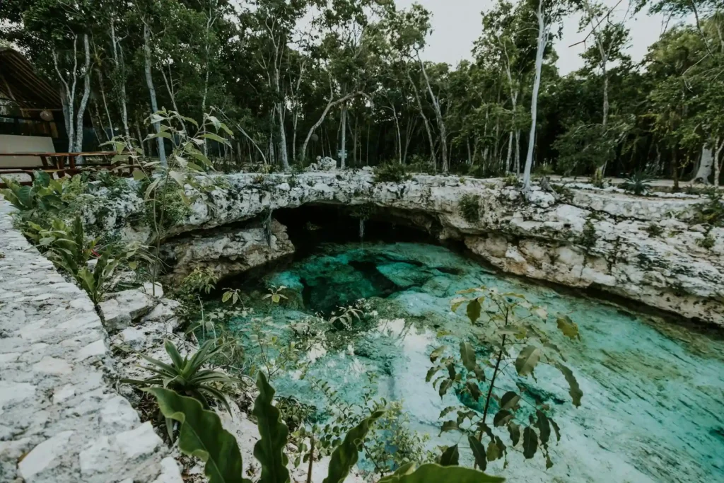 Cave Section Cenote Nicte Ha